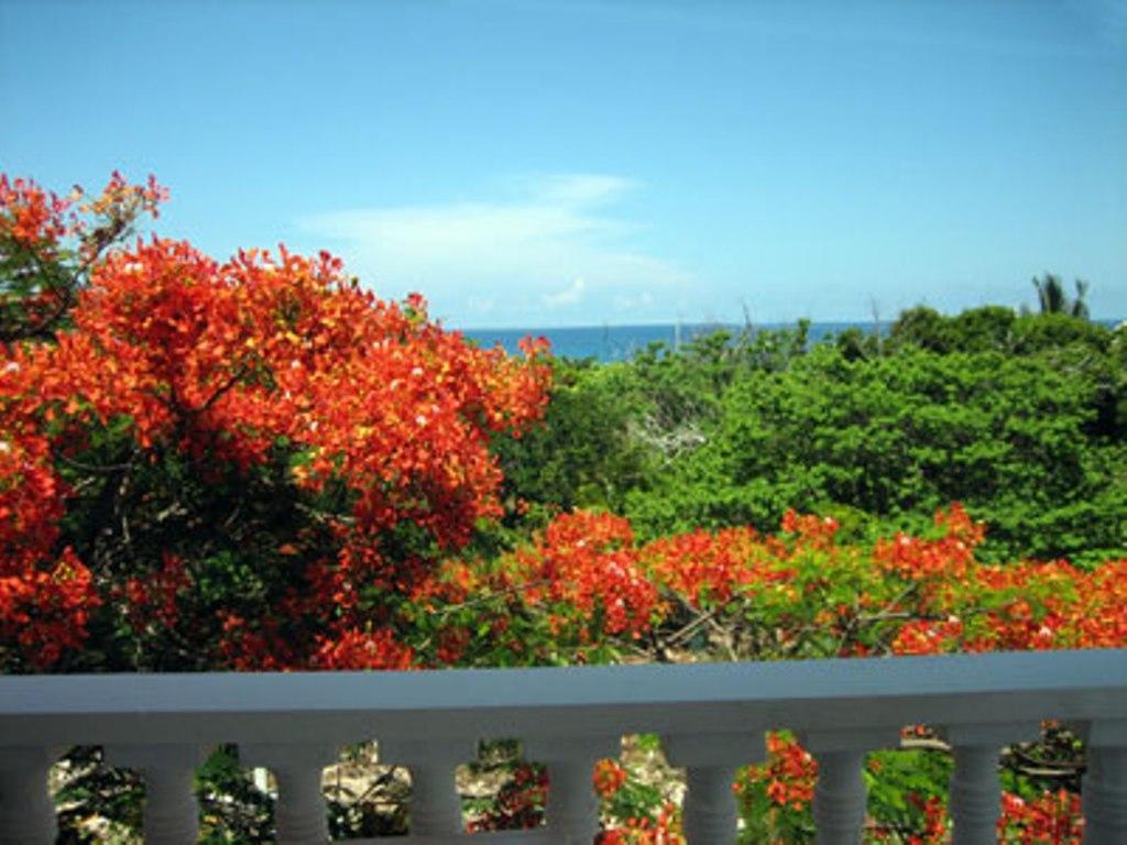 Сasa de vacaciones Villas Punta Sur Isla Mujeres
